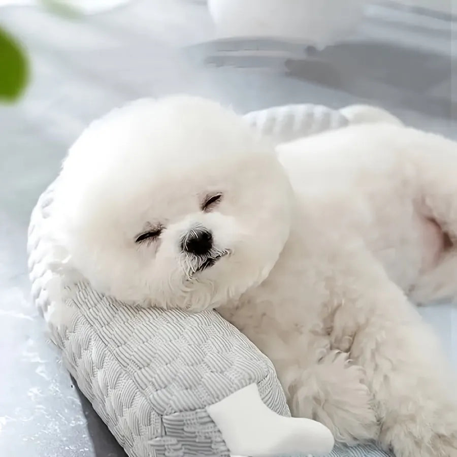 Blue pet bed cushion with big-eyed monster design for dogs and cats on a wooden floor.