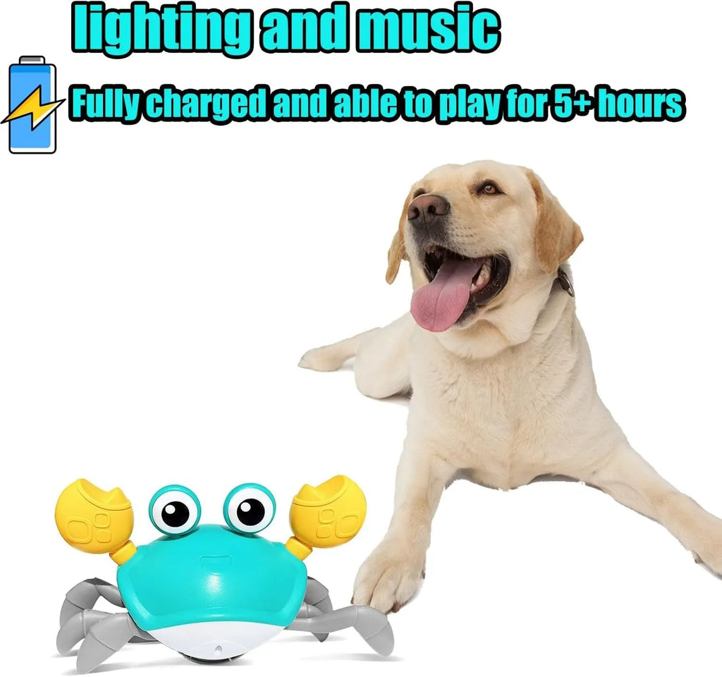 Blue and red crawling crab dog toy with obstacle avoidance sensors showing sideways movement
