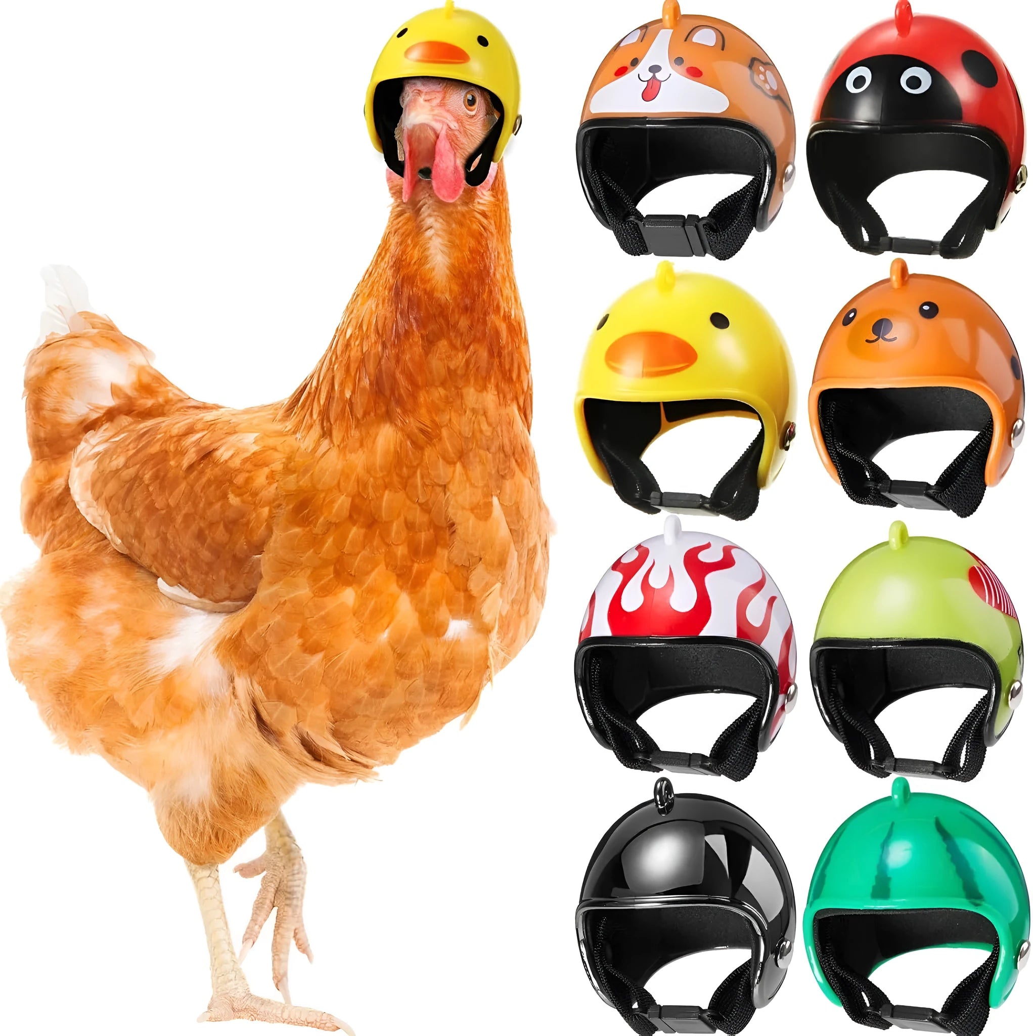 Small colourful plastic helmet with elastic straps, designed for a chicken or small bird to wear.