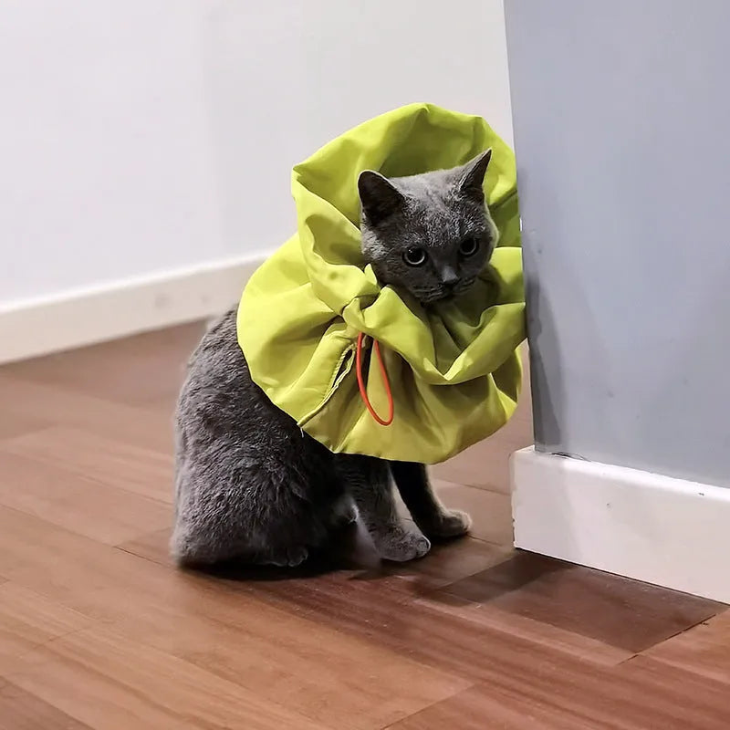 Soft adjustable cat recovery cone collar in light blue with elastic buckle for wound protection