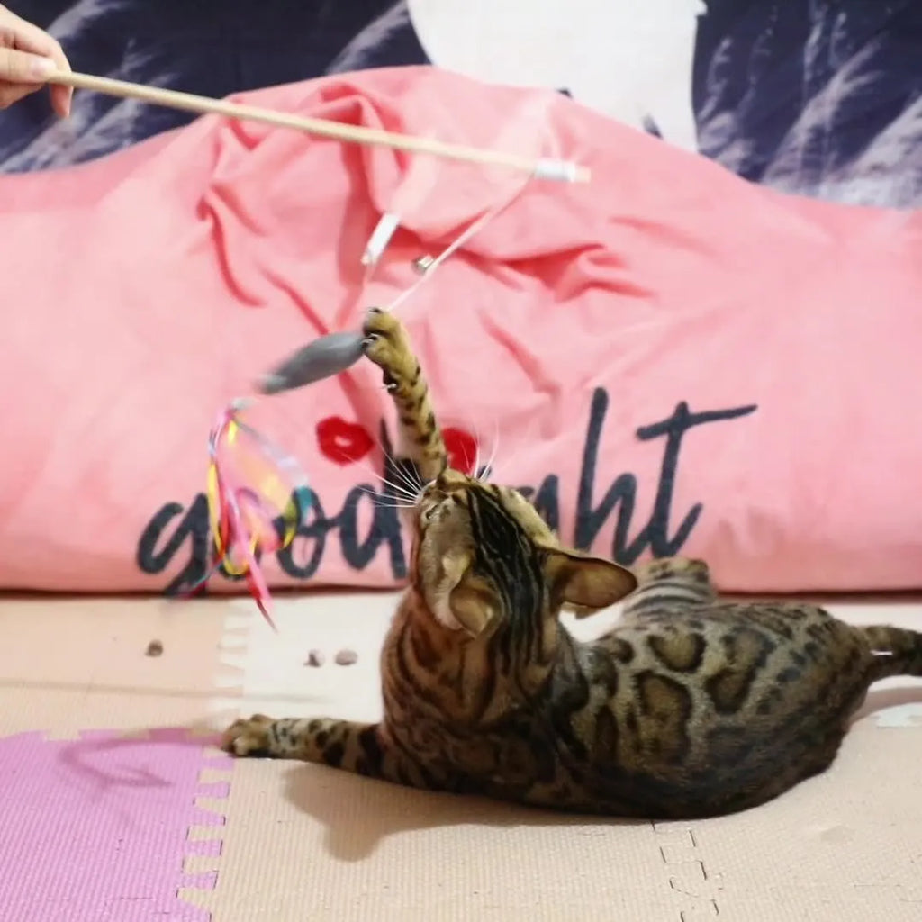 Wooden handle cat wand toy with catnip fish, colourful ribbons, and a bell for interactive play.