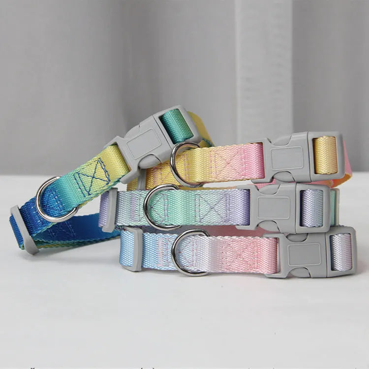 Nylon dog leash and collar set in gradient colours of pink and blue for small or medium breeds