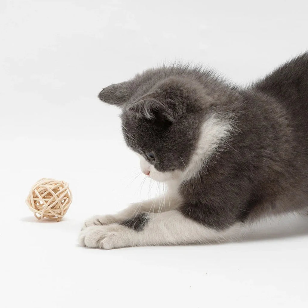Two cat toys: hollow rattan ball and faux feather ball with bell for interactive play