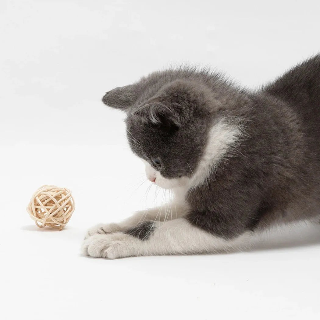 Two cat toys: hollow rattan ball and faux feather ball with bell for interactive play