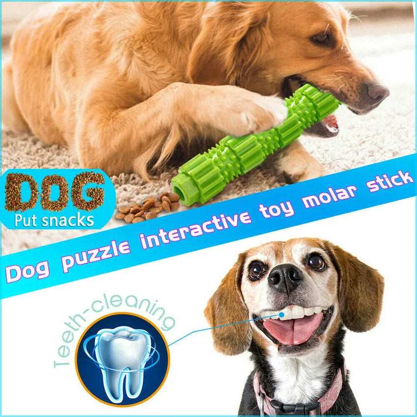 Green and orange durable rubber dog chew toy with textured surface and treat dispensing hole.