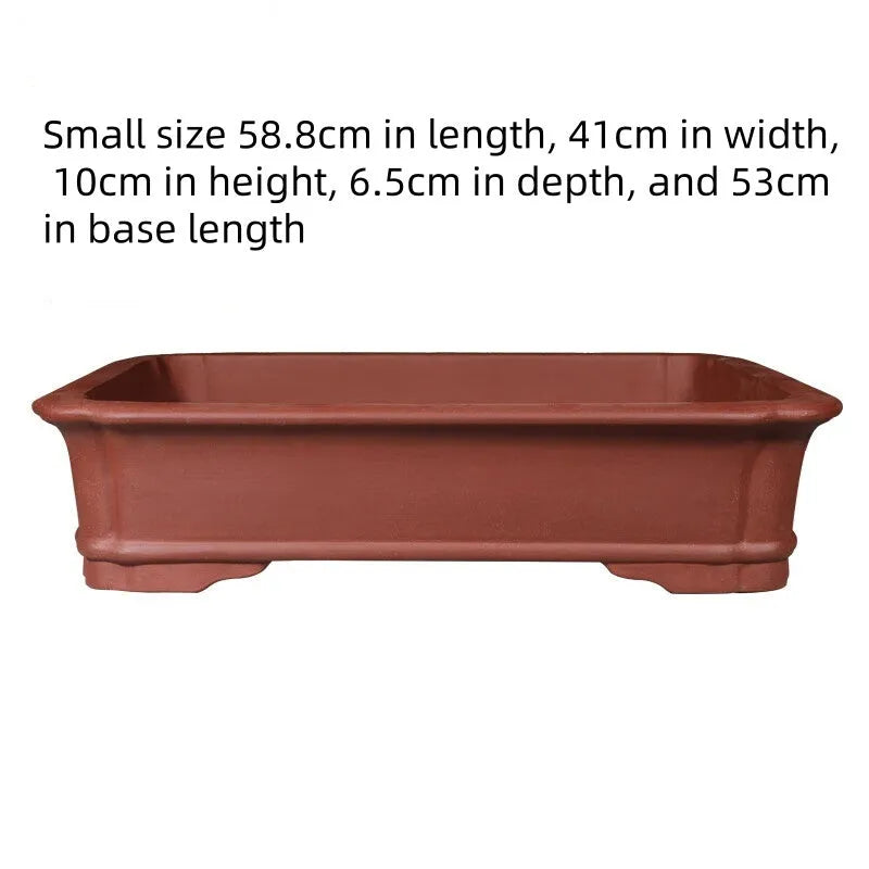 Large rectangular purple clay flowerpot for bonsai or garden plants, shown in a garden setting.