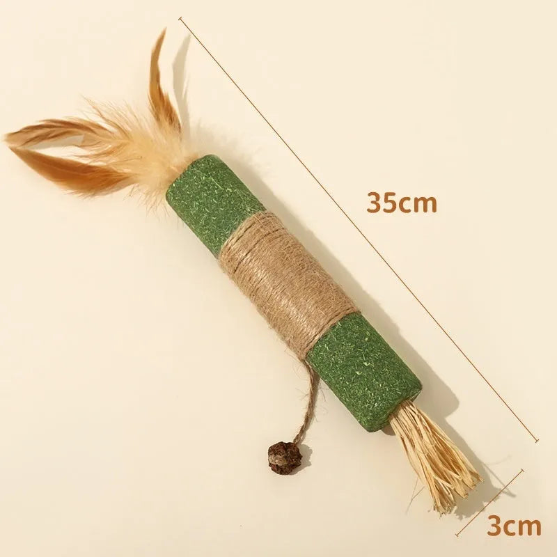 Polygonum wood cat teeth grinding rod with catnip stems and 2.2cm diameter