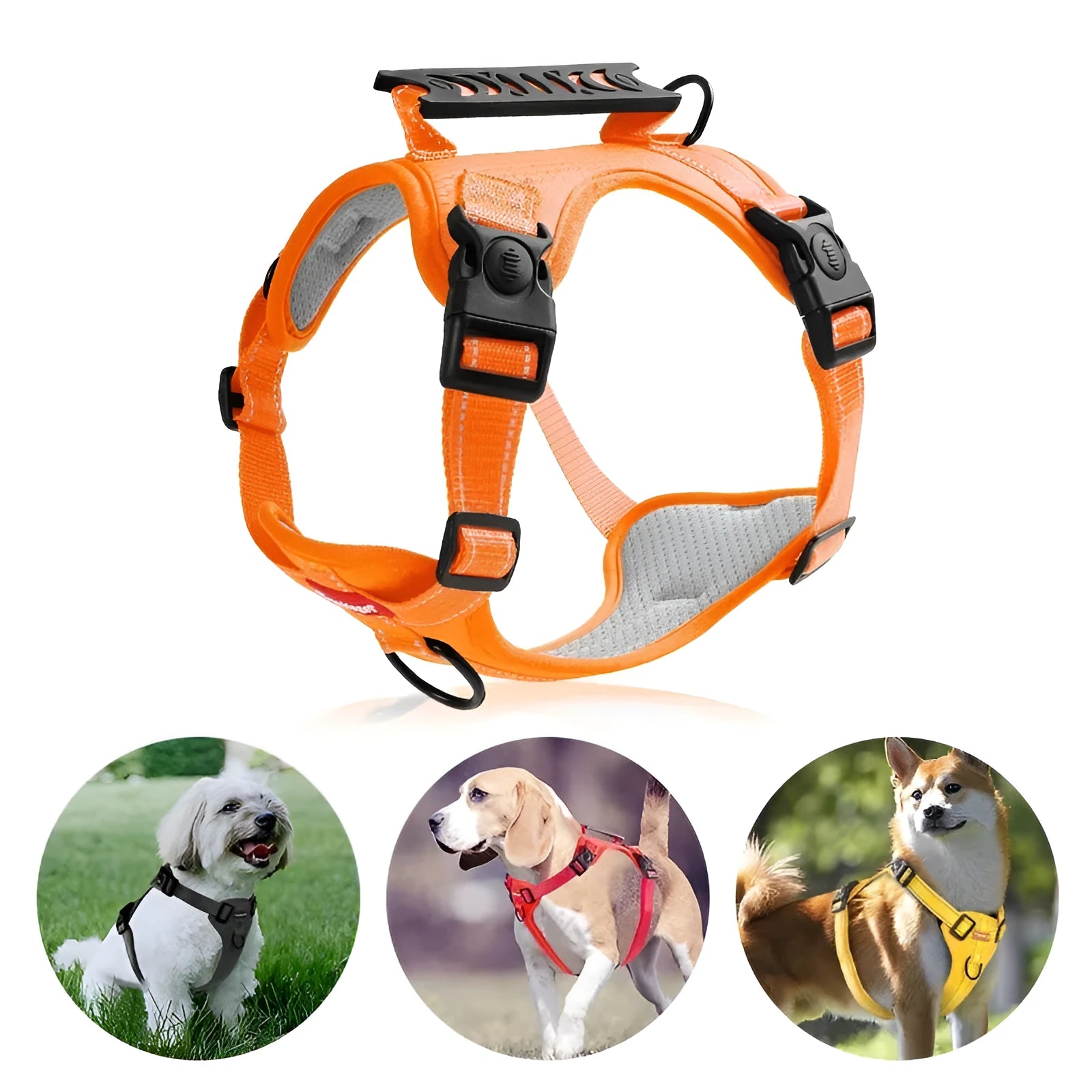 Adjustable dog chest harness with matching lead in multiple colour options
