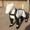 Black waterproof non-slip dog shoes with adjustable strap for paw protection