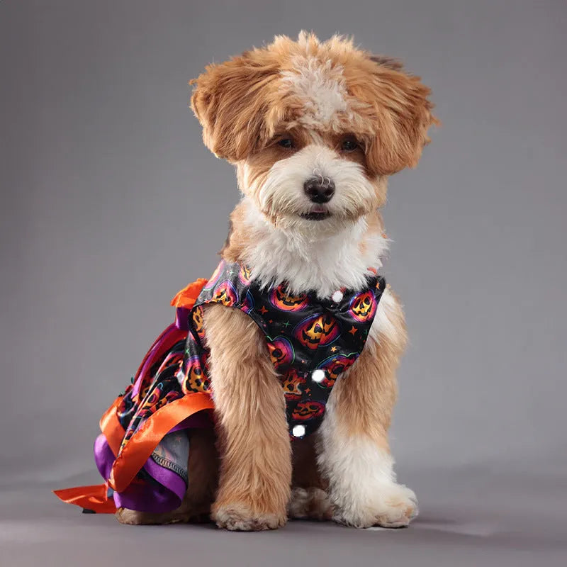 Halloween dog skirt costume with colourful pumpkin pattern on pet