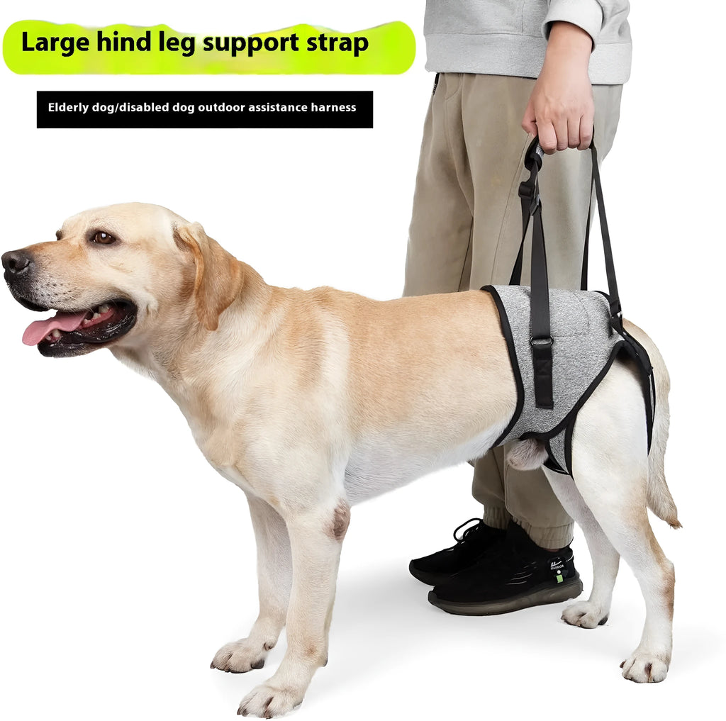 Grey neoprene dog recovery belt for injured rear legs, showing adjustable waist and thigh straps.