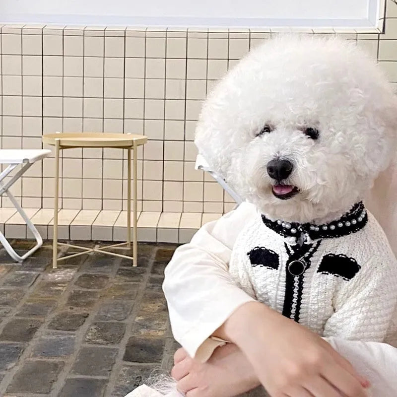 Korean princess style white dog sweater with pearl collar for small breed dog