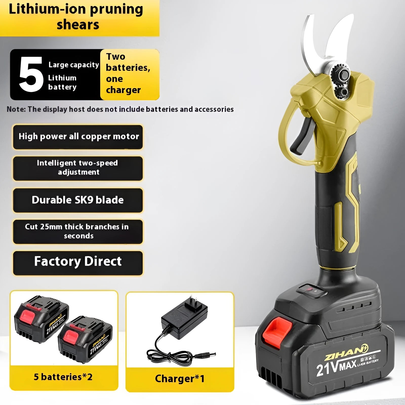 Cordless electric pruning shears with lithium battery in a plastic storage case.