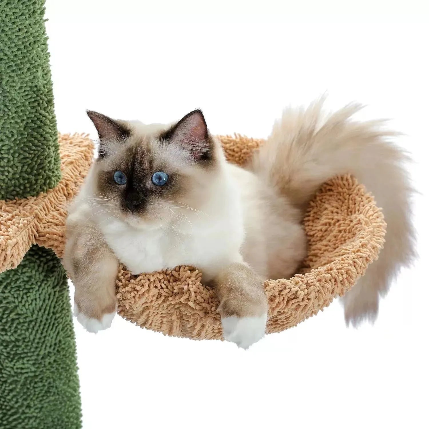Tall solid wood cat tree with cactus-shaped nest, integrated scratch board, and hanging toys
