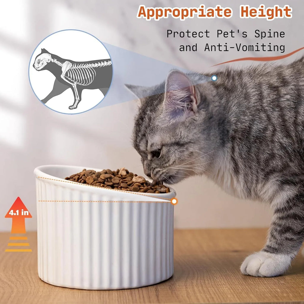 Dark green ceramic elevated cat bowl on a table, showing its raised height and round, tilted shape.