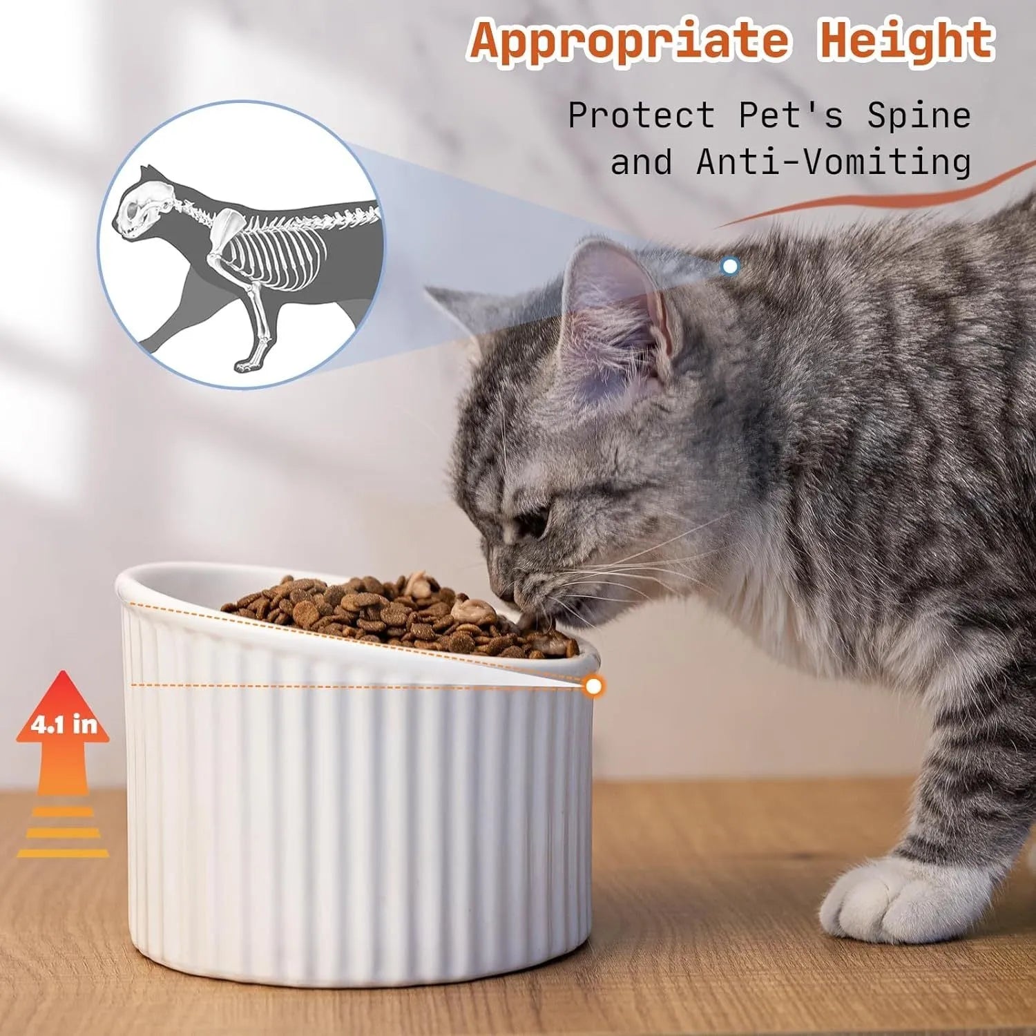 Dark green ceramic elevated cat bowl on a table, showing its raised height and round, tilted shape.