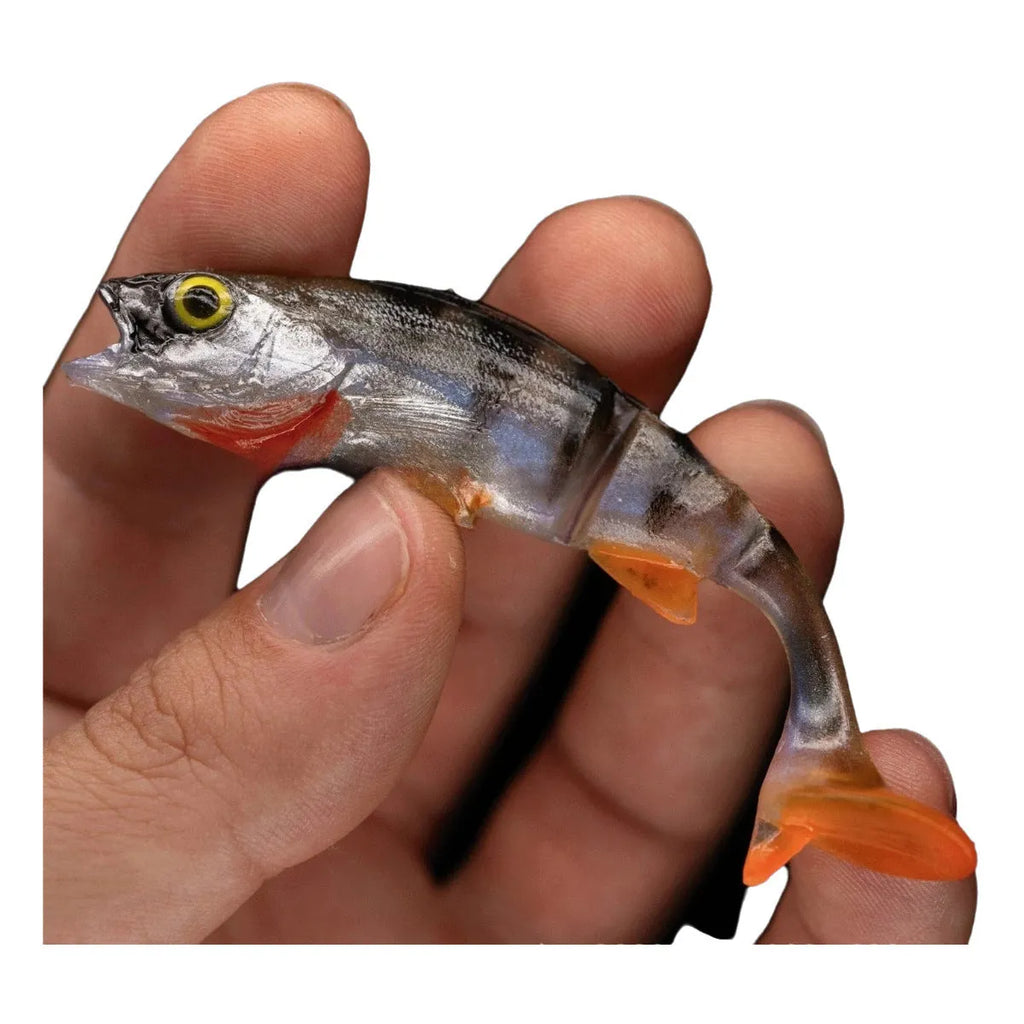 Soft T-tail fishing lure with realistic fish colour pattern for freshwater and saltwater fishing
