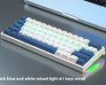61-key computer mechanical keyboard with tea shaft switches in multiple colour combinations