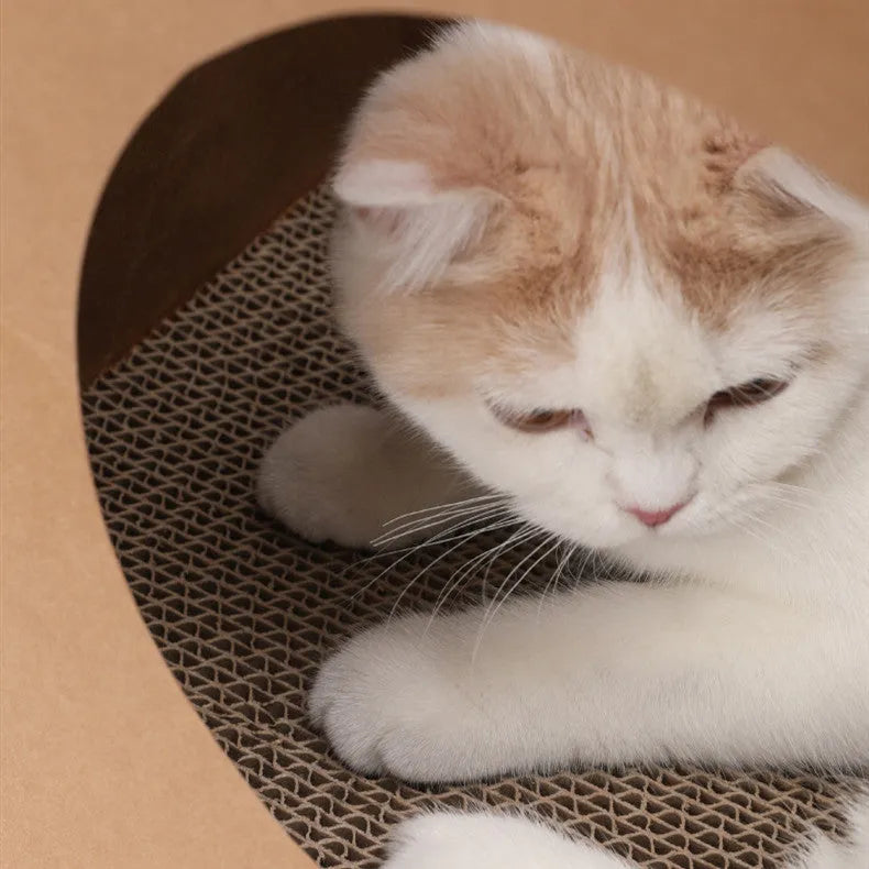 Brown paper cat nest with integrated scratch board measuring 40x30x53cm
