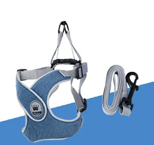 Green adjustable mesh dog harness with metal D-ring and attached lead on a white background