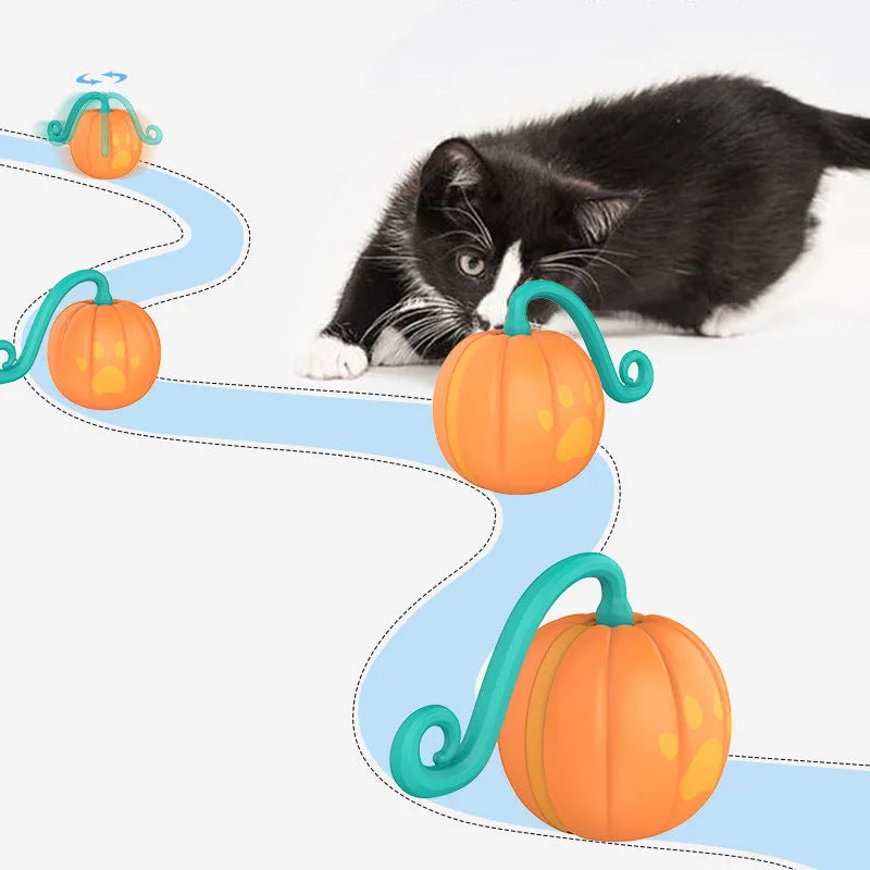Electric glowing cat ball toy in watermelon and pumpkin designs for pet play.