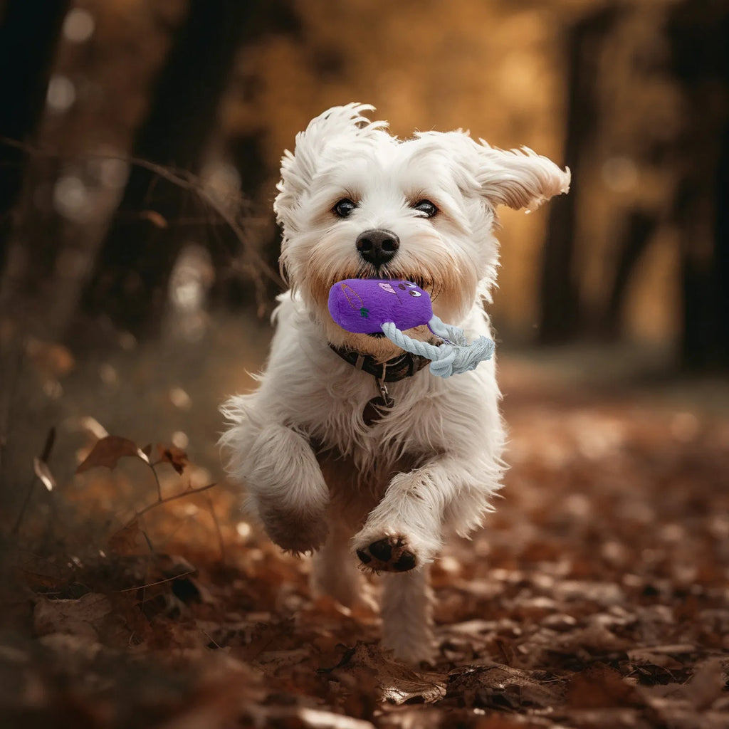 Blue dog toy with a squeaker bone, showing soft corn fleece lining and bite-resistant texture.
