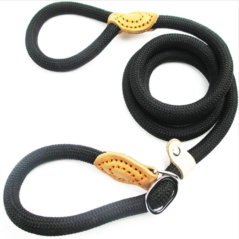 Brown nylon P-chain dog leash measuring 2.1 metres with hand holding rope