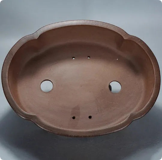 Classical style purple clay bonsai flower pot for indoor plants on a tabletop.