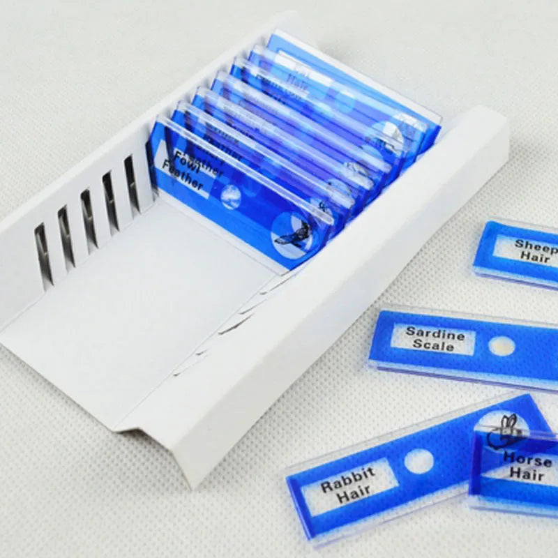 48 plastic microscope slides with biological specimens in red, green, yellow, and blue colour-coded boxes
