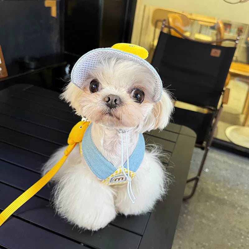 Pet harness and leash set with wire rope pulling rope and matching cat clothes accessories in four size options