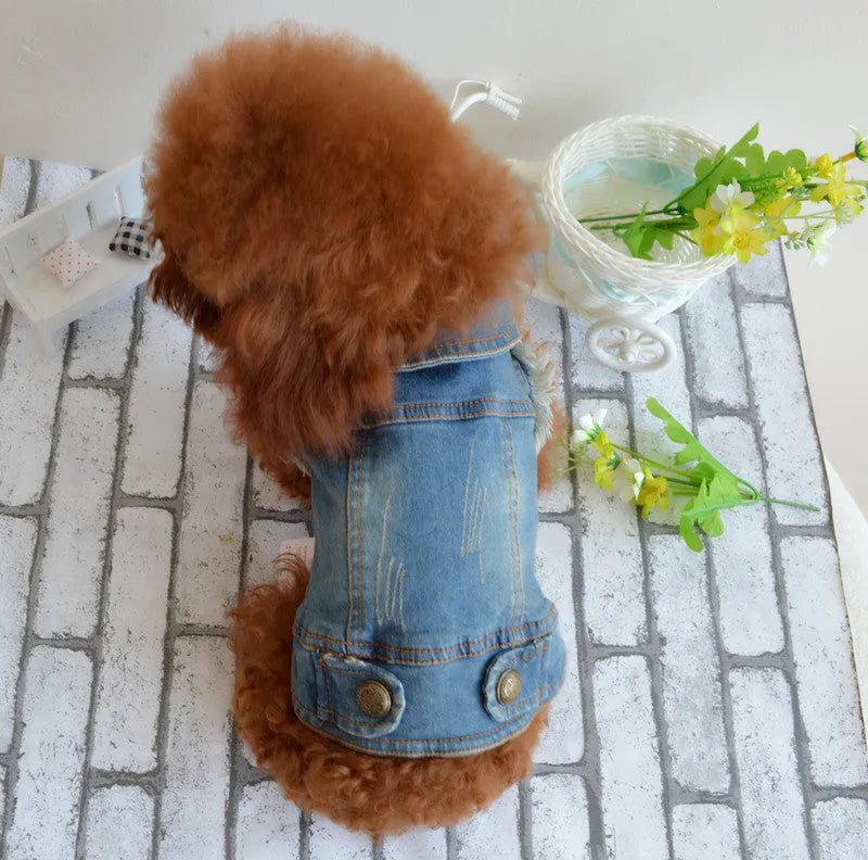 Denim dog vest with retro scratch pattern for small breeds in dark and light colour options