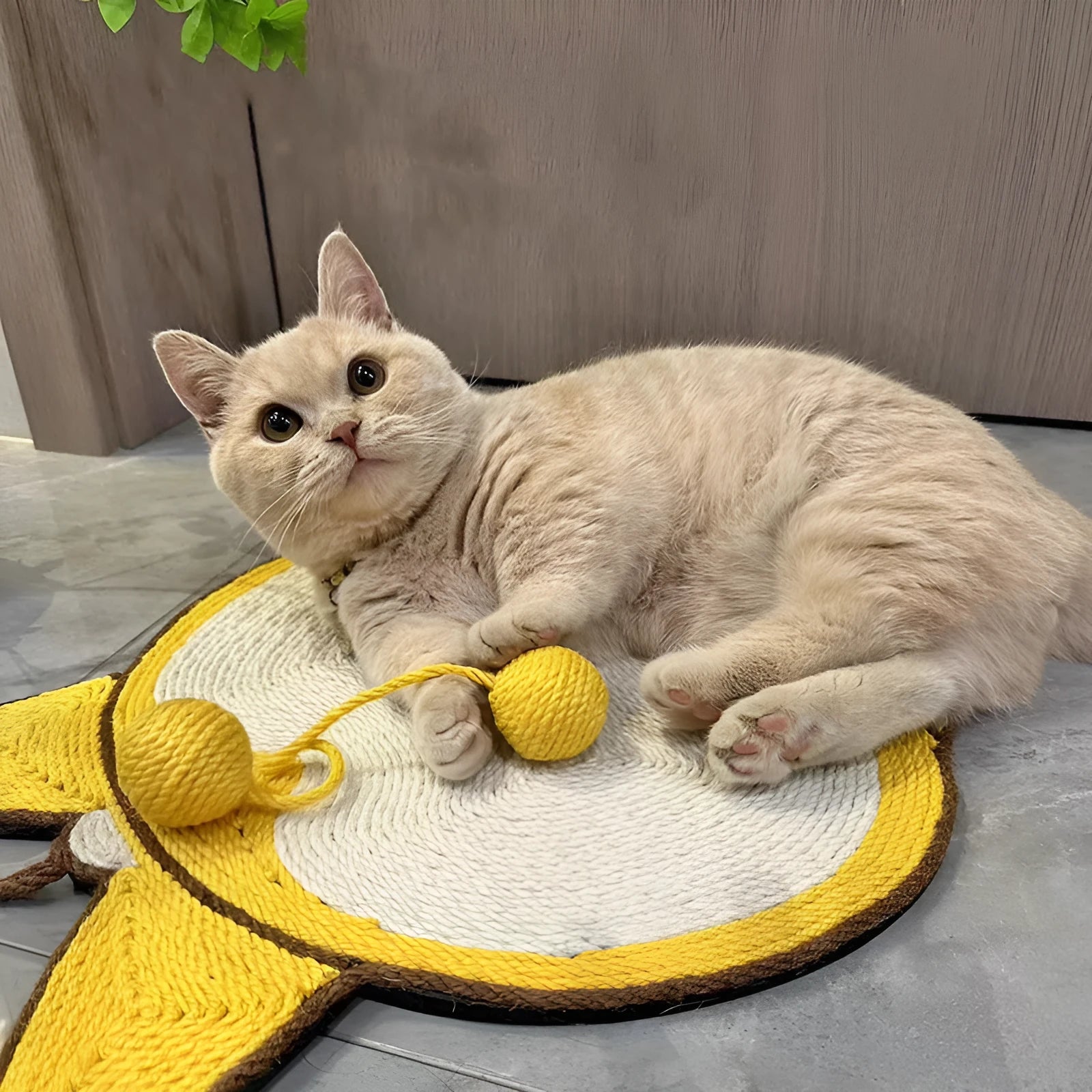 Yellow corgi butt design sisal cat scratching board with anti-slip base, shown with adhesive hooks.