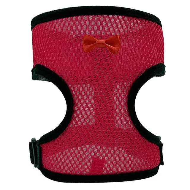 Poultry clothing set with chicken vest, matching collar and 110cm traction rope in multiple colour options