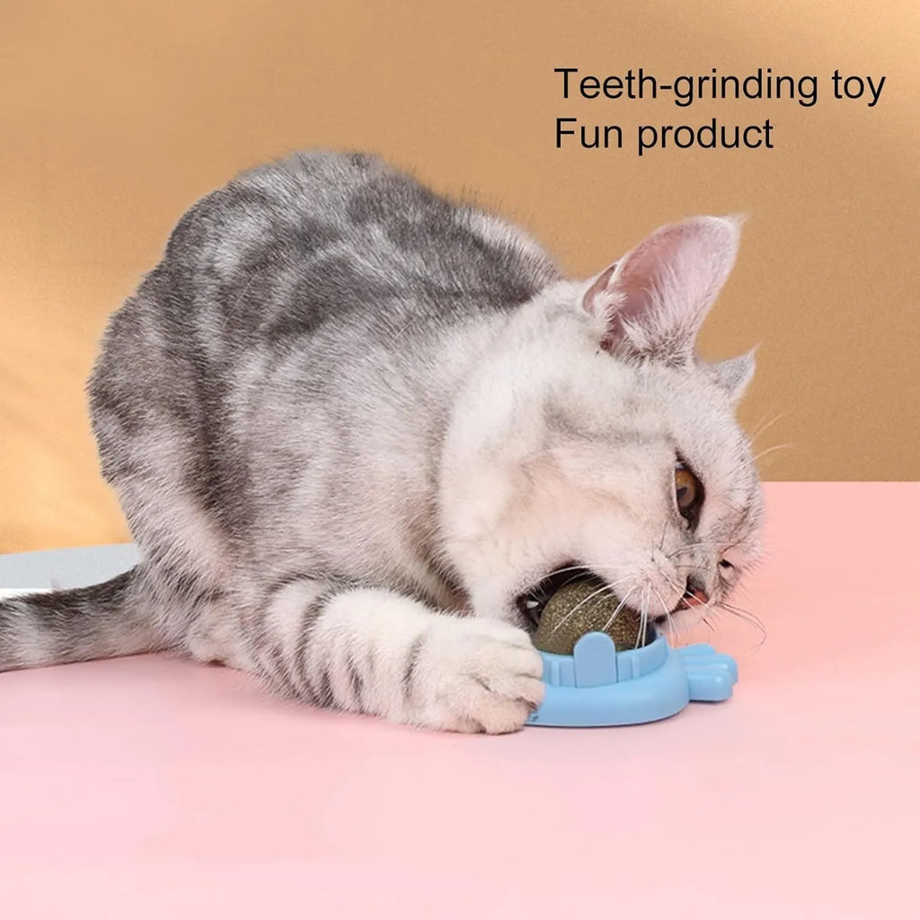 Blue carrot-shaped catnip ball with self-adhesive backing for wall mounting and cat teeth cleaning
