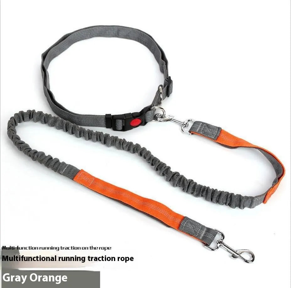 Grey and green two-tone nylon dog leash with reflective threads and an elastic section for outdoor running.