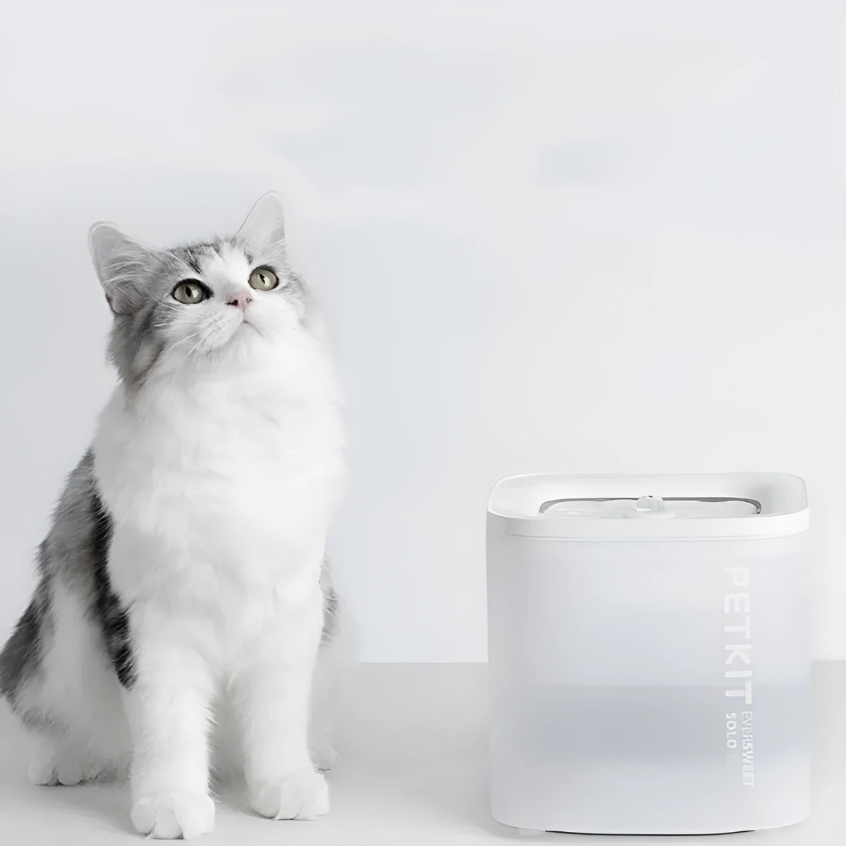 Xiaopei Solo 2 smart pet water dispenser with filter for dogs and cats