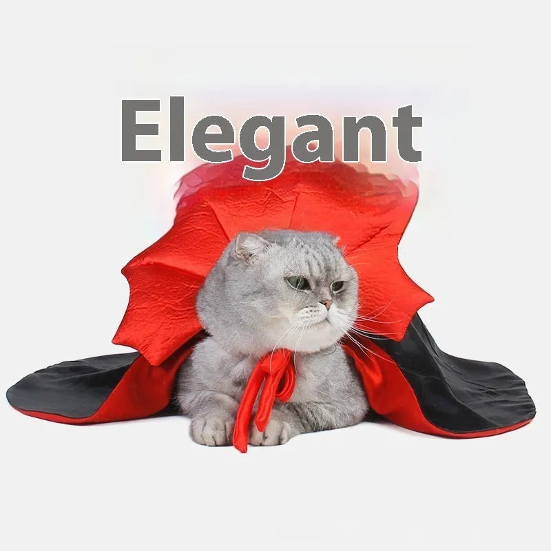 Black and red Halloween costume for a cat or dog on a hanger.