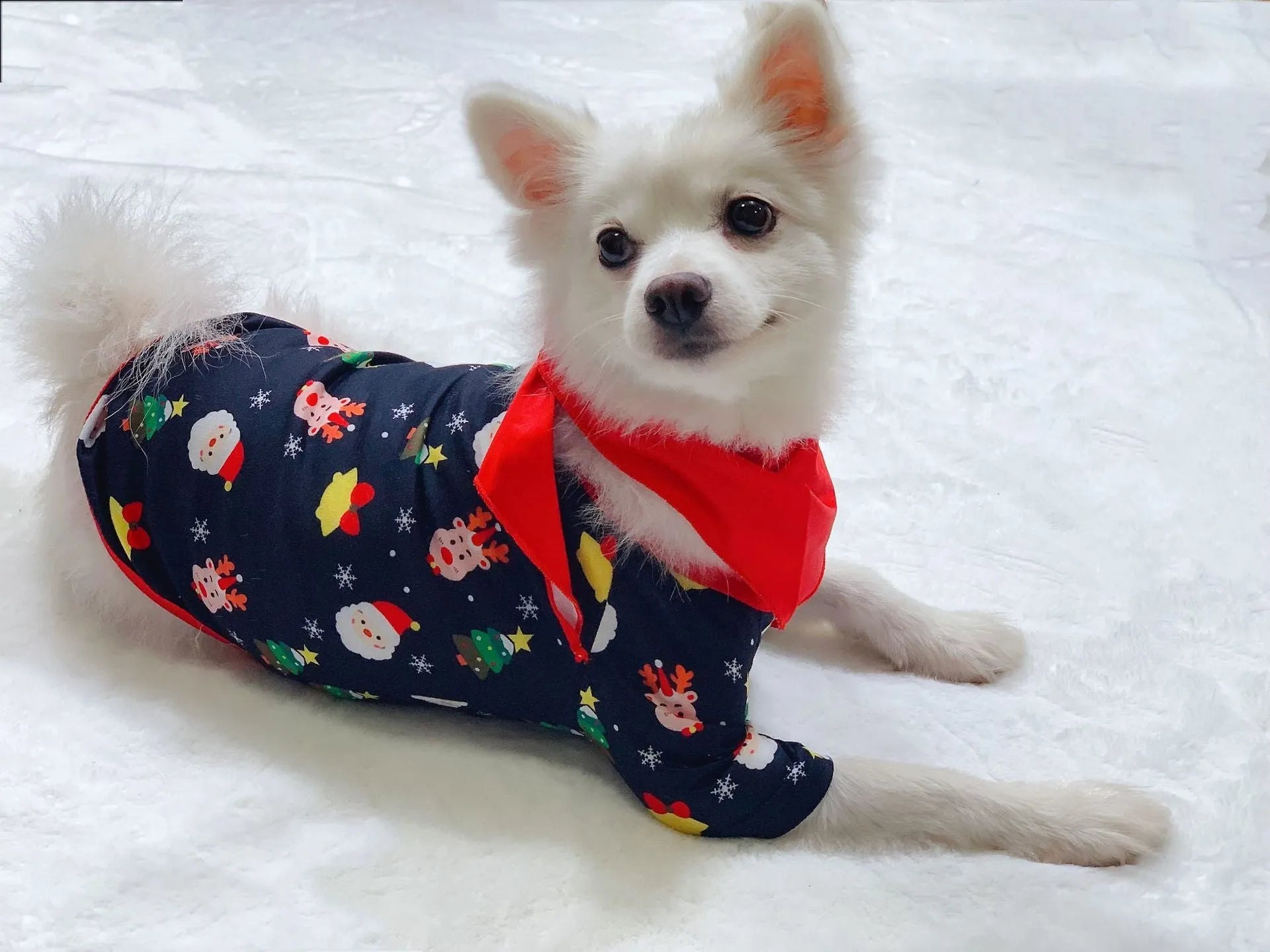 Family matching Christmas pyjamas set in red plaid print for adults, children, baby and dog