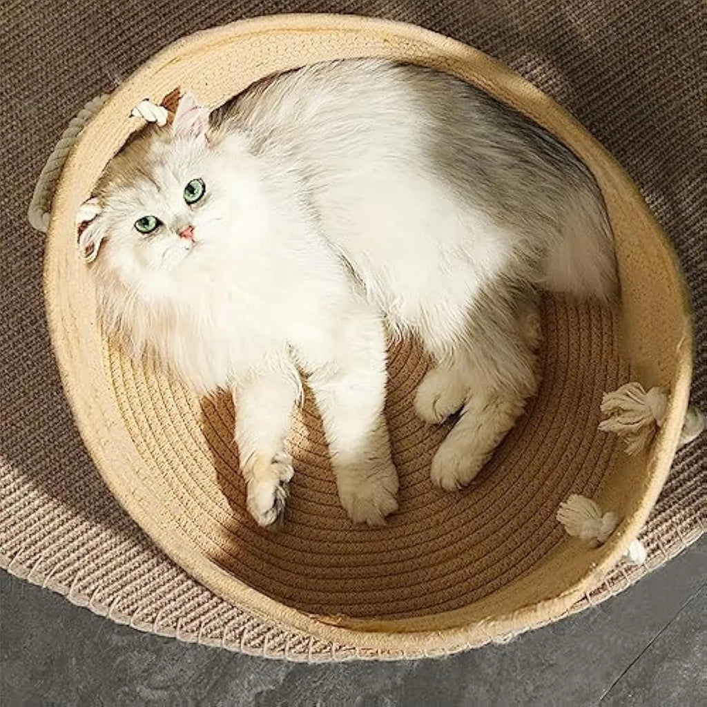 Woven wicker cat bed basket with corrugated scratching board interior for feline resting and claw maintenance