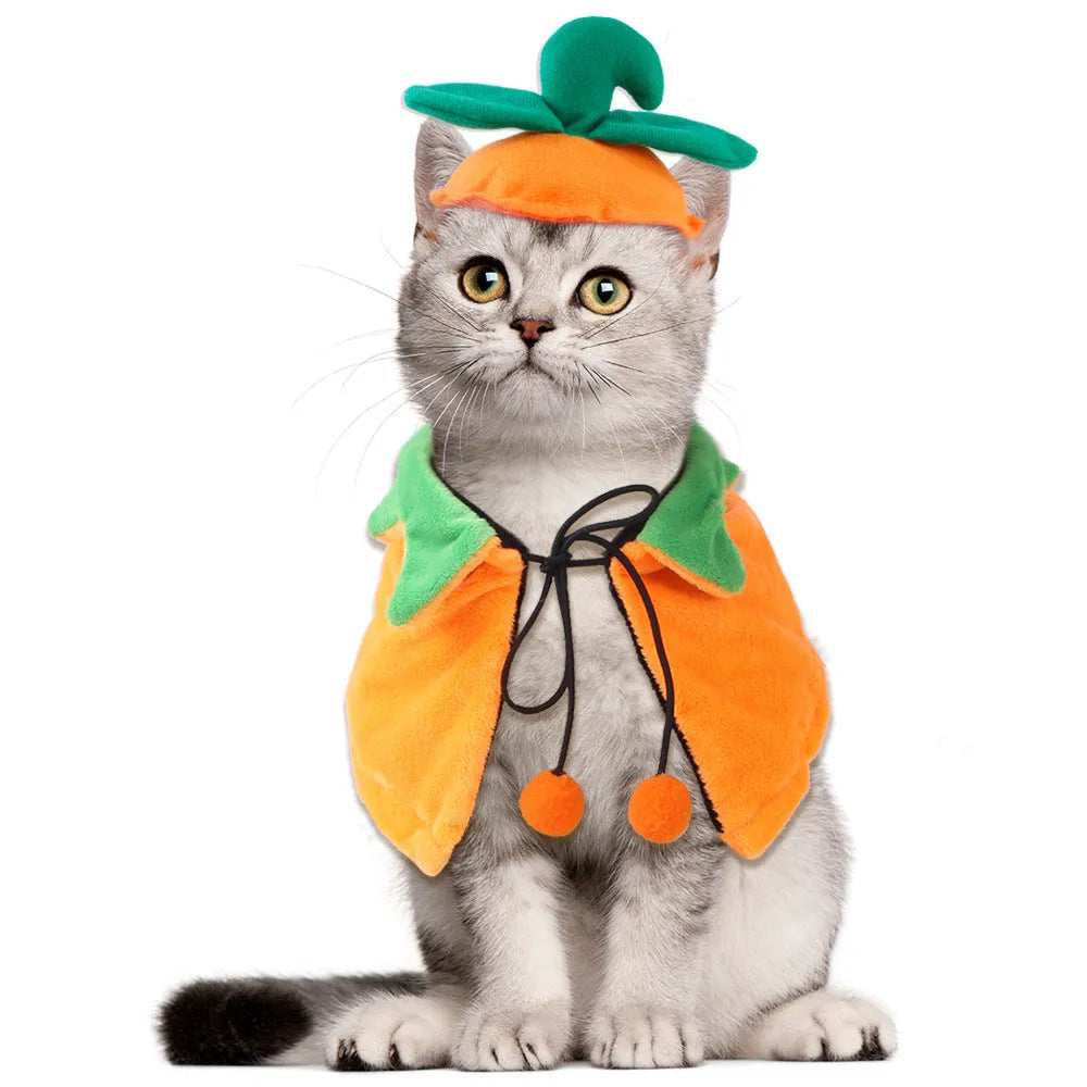Orange pumpkin Halloween cloak for a dog, made from soft plush fabric.