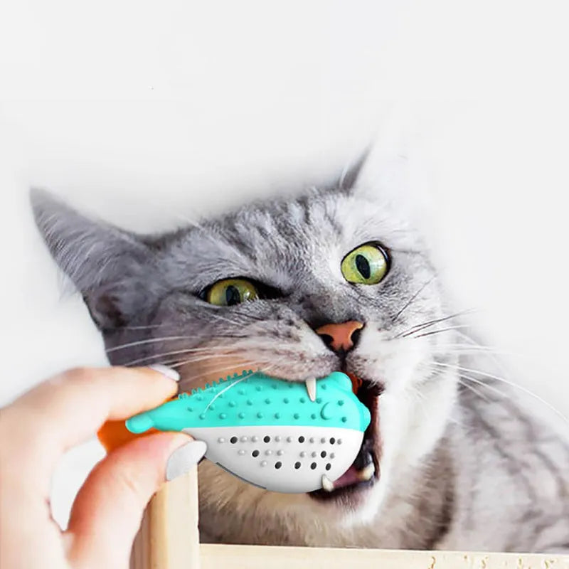 Blue silicone fish-shaped cat chew toy and teaser on a white background