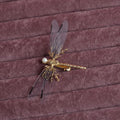 Golden electroplated alloy dragonfly side clip headdress for women.