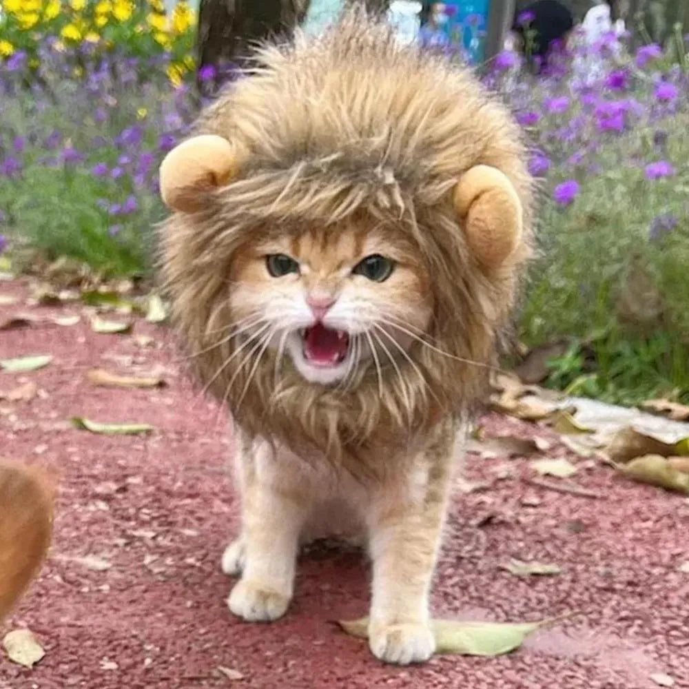 Lion mane wig for cat on head, showing plush artificial hair and adjustable elastic band.
