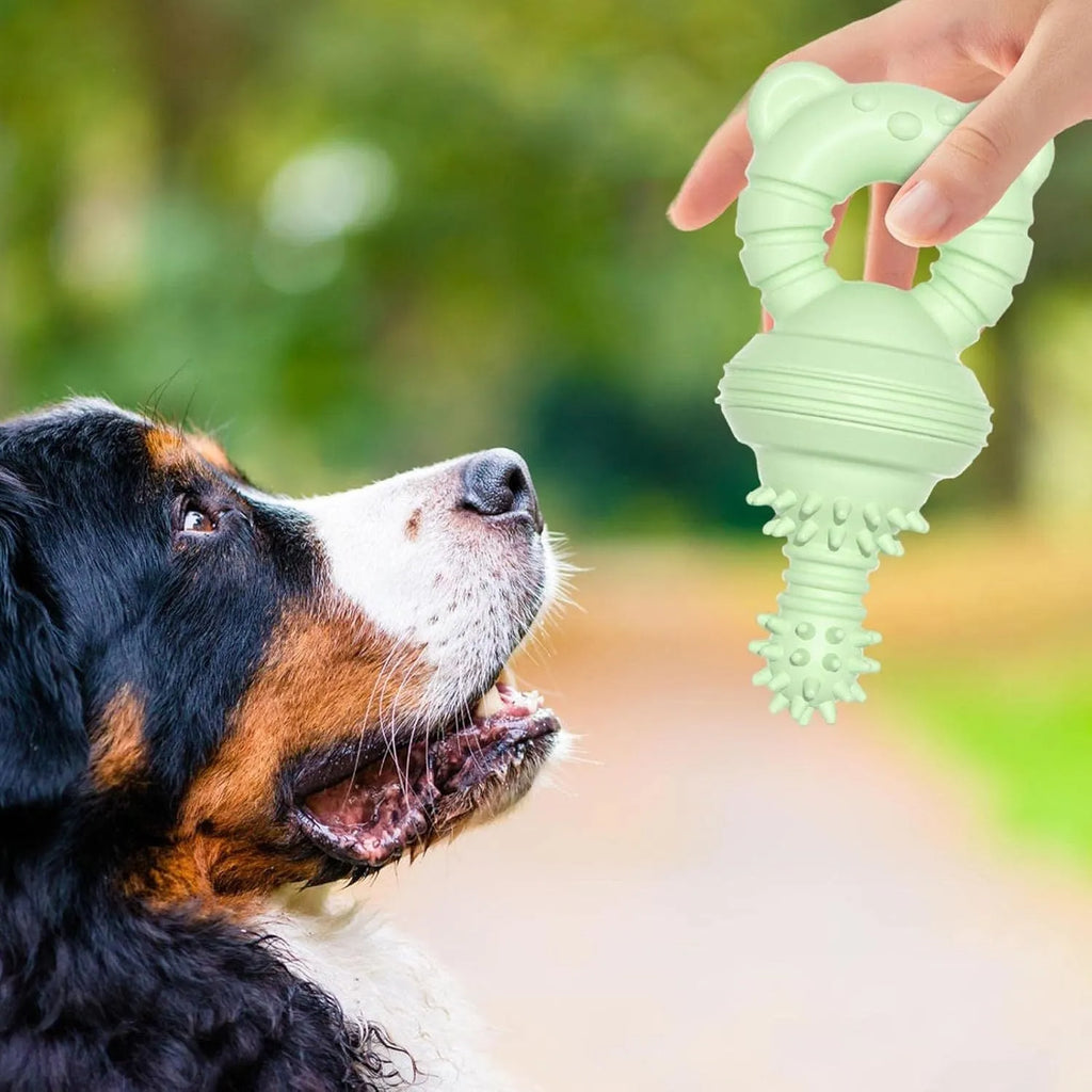 Blue rubber dog chew toy with molar cleaning texture and bell for aggressive chewers