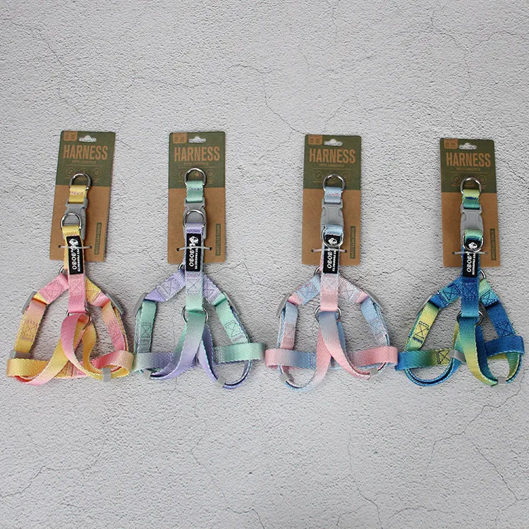 Nylon dog leash and collar set in gradient colours of pink and blue for small or medium breeds