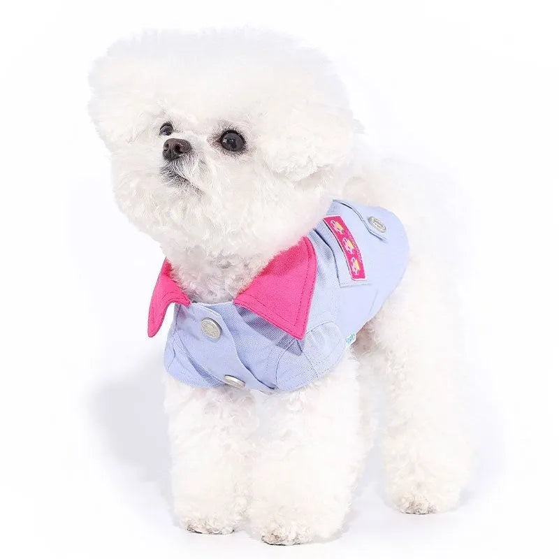 Blue summer dog vest with traction ring on small dog showing lightweight polyester construction