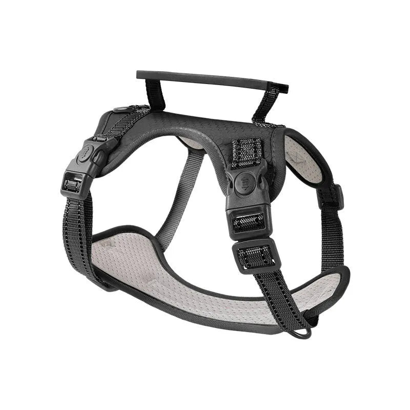 Adjustable dog chest harness with matching lead in multiple colour options