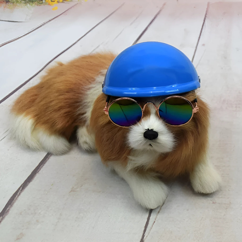 Plastic dog motorcycle cap helmet in assorted colours on a white background
