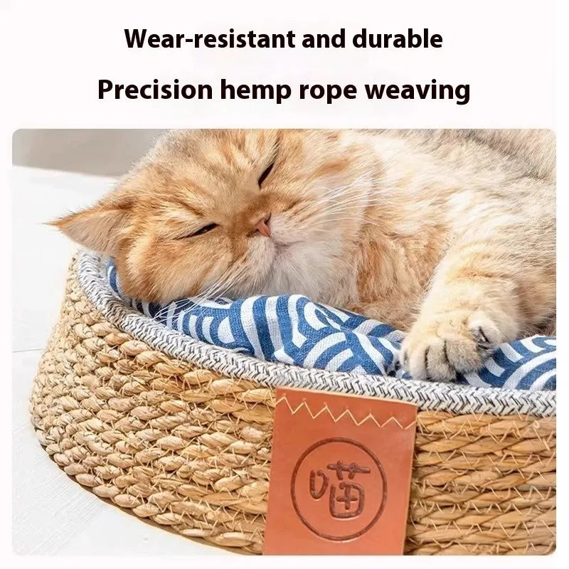 Natural woven rattan cat bed with a soft cushion inside, shown in a neutral home setting.
