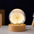 3D dandelion crystal ball night light on beech wood base with preserved flowers inside 6cm resin sphere